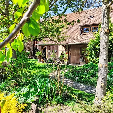 Hof- By Interhome Sundhausen